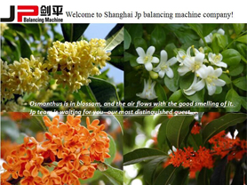 Welcome to JP Balancing Machine Company